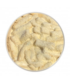 Orecchiette with 4 Cheese Sauce