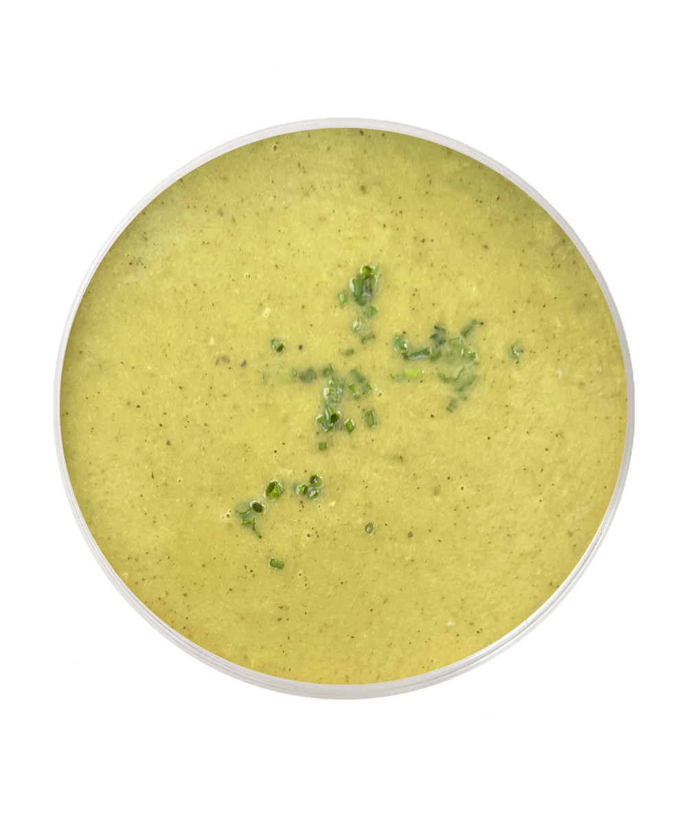 Crema Freda de Carbassó & Alfàbrega