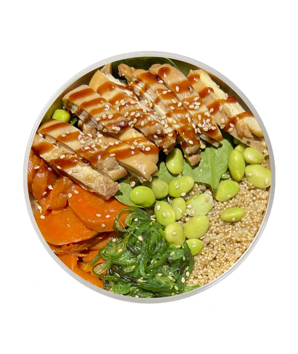 Teriyaki Bowl