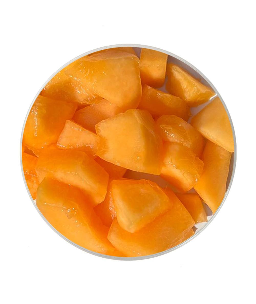 Melón Cantalup