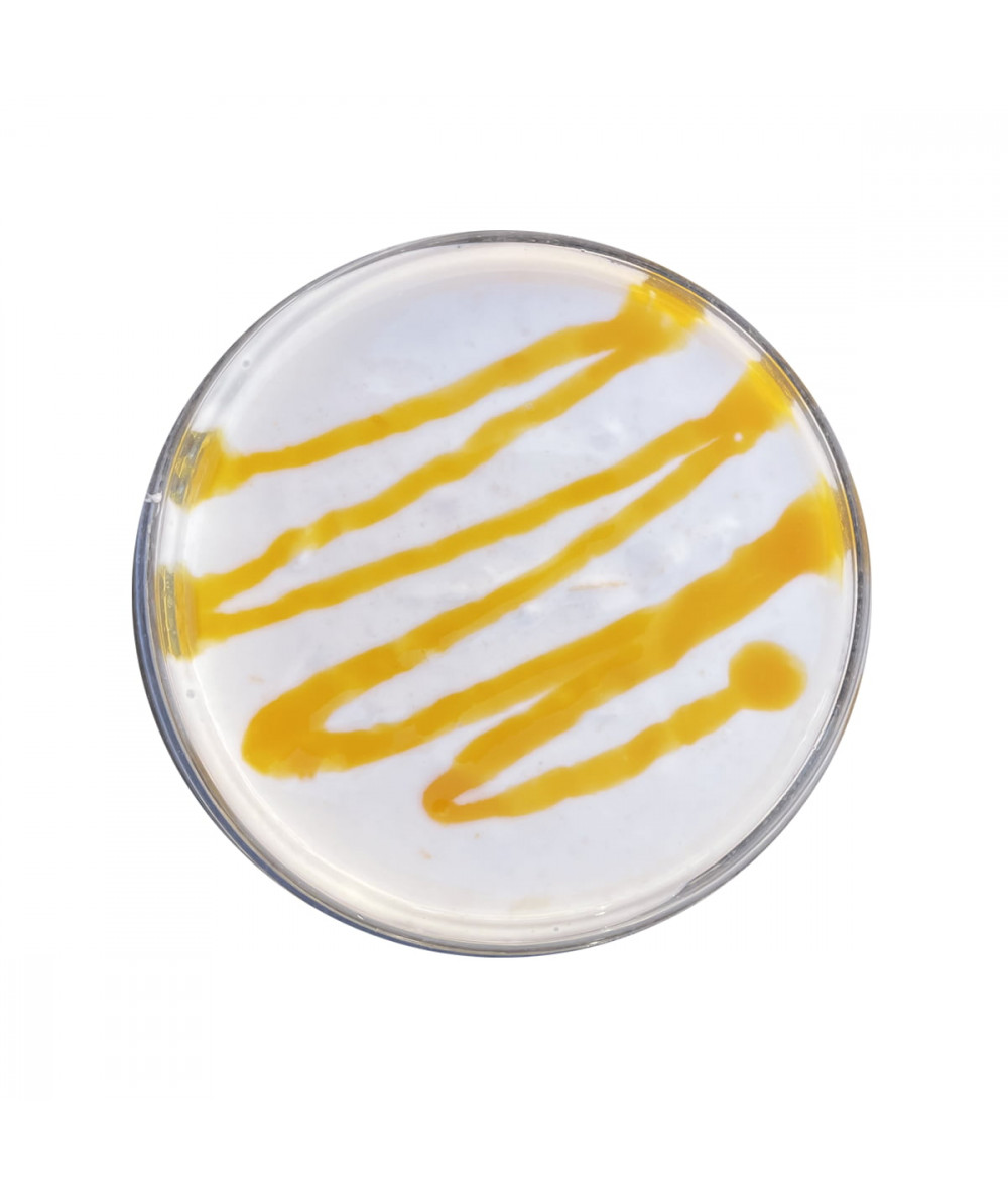 Peach yogurt with mango coulis