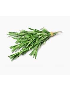 Rosemary Bunch