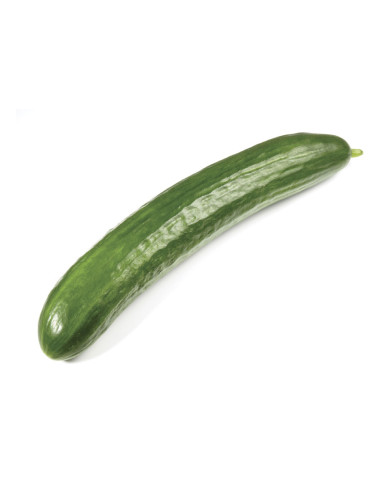 Pepino