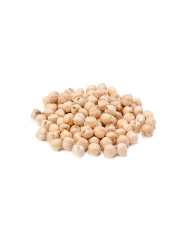 Chickpea