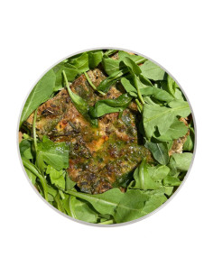 Tortilla Italiana