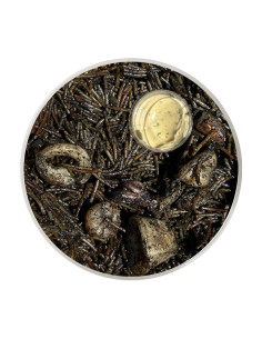 Squid Fideua in its Ink