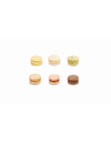 Surtido de 6 Macarons Variados