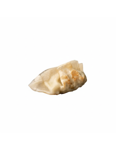 Prawn Gyoza