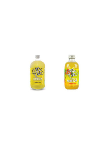 Kombucha