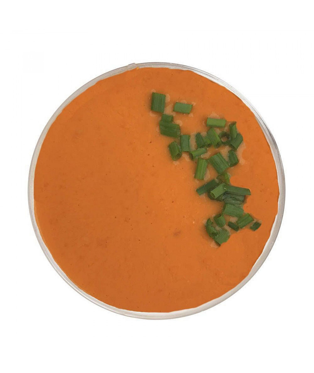 Tomato and Nectarine Gazpacho
