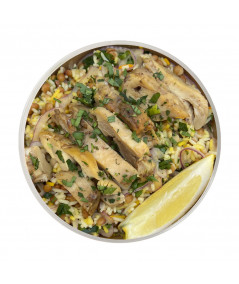 copy of Pollastre Tandoori