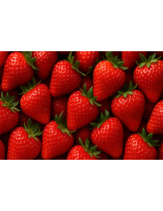 Fresas 1kg