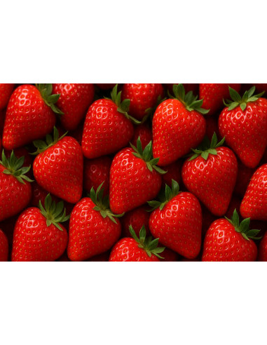 Fresas 1kg