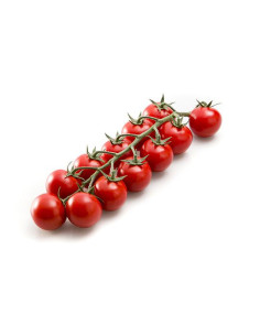 Rama Tomàquet Cherry